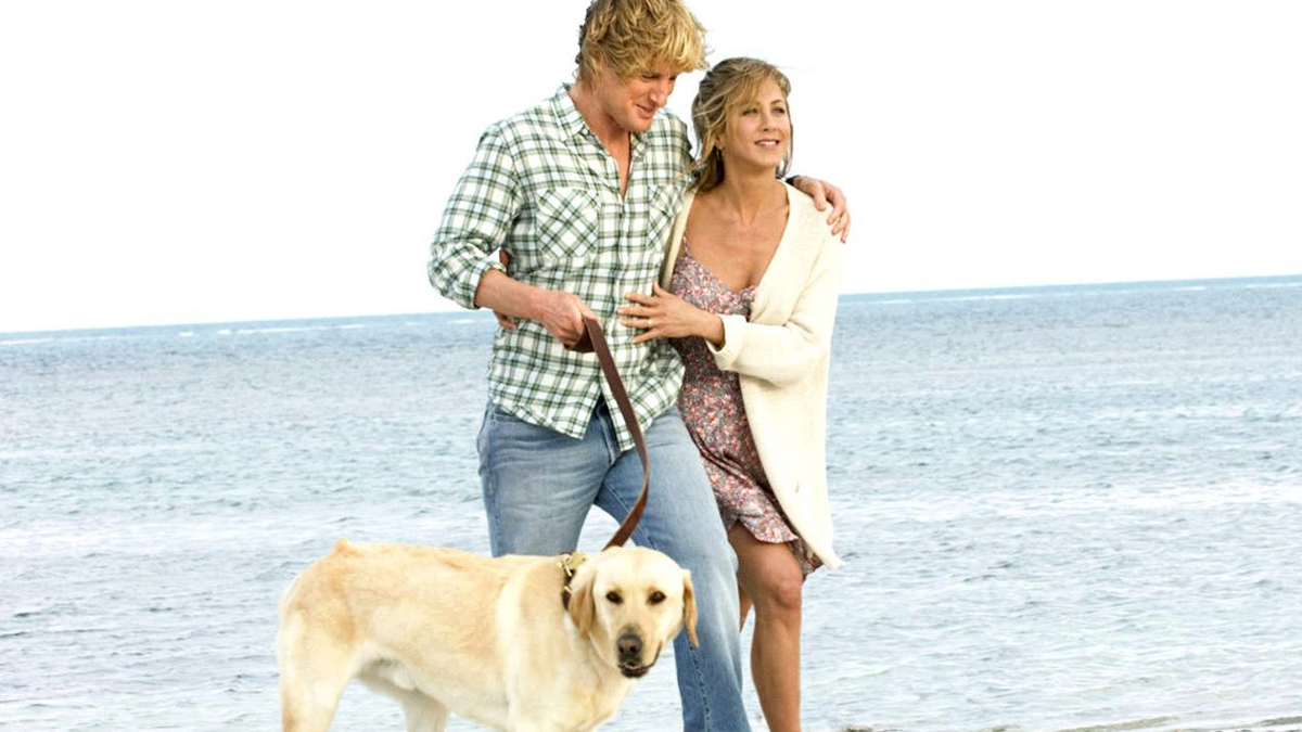 Köpekleri Konu Alan En İyi Dostluk Filmleri