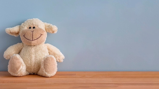 Depremzede Çocuklar İçin Oyuncak Yardımı
