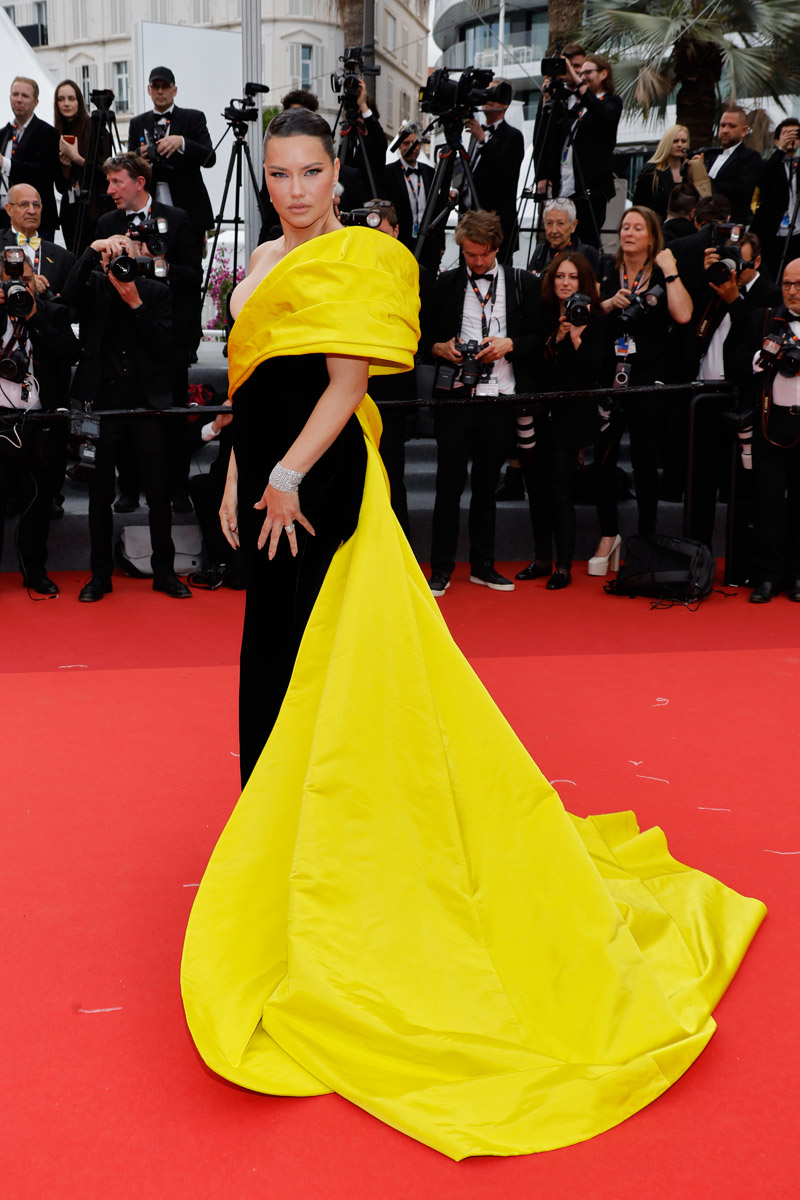 76'ıncı Cannes Film Festivali'nin En İyi Kırmızı Halı Görünümleri