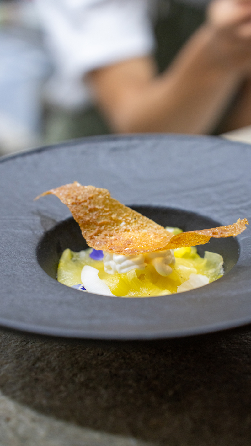 Gastronomi Durağı: Savor