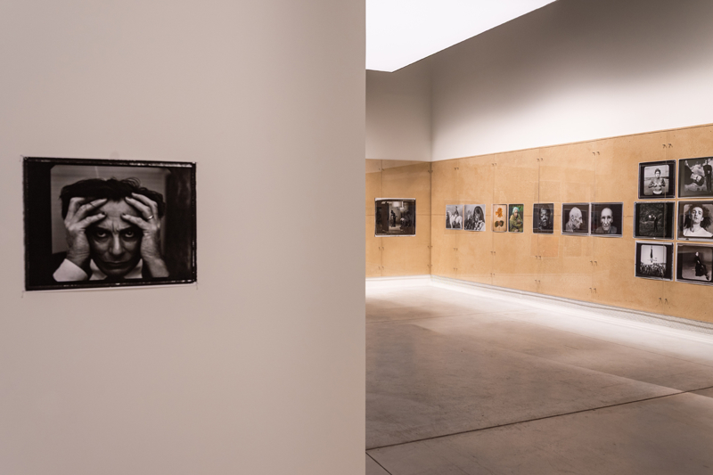 Annie Leibovitz'in Harikalar Diyarı